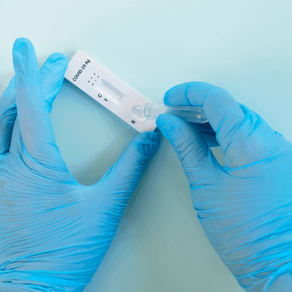Gloved hands with a COVID-19 test.